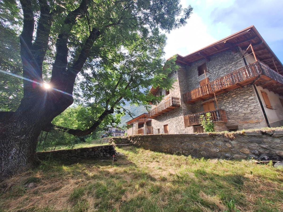 La Casa Del Gigante Frassino Apartment Acceglio Bagian luar foto